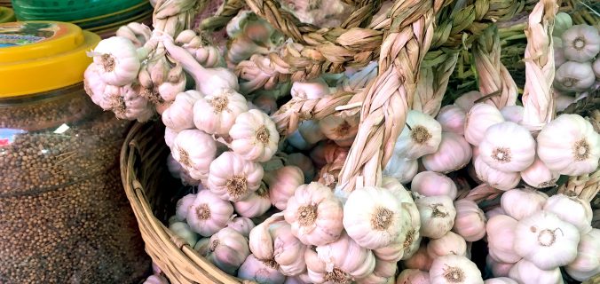 Fresh Garlic